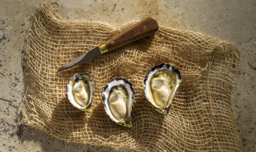 Rock Oysters Raw & Harvest