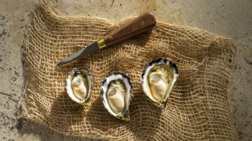 Rock Oysters Raw & Harvest