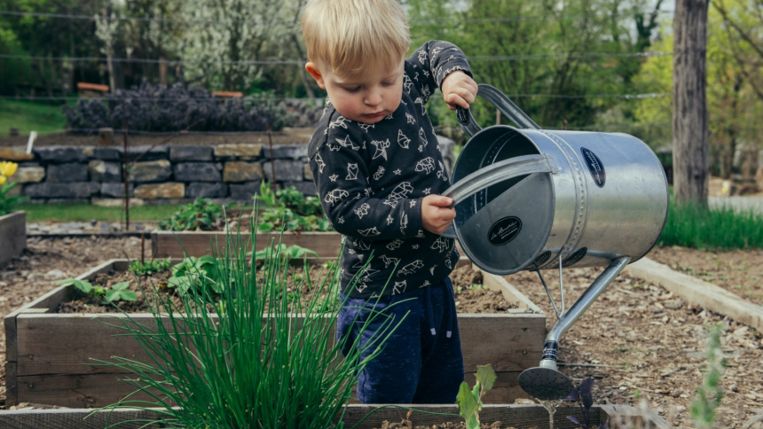 SPRING GARDENING